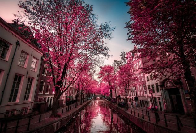 Нидерланды Ситтард-Гелен фото