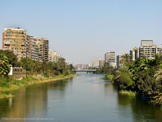 Египет Каир фото