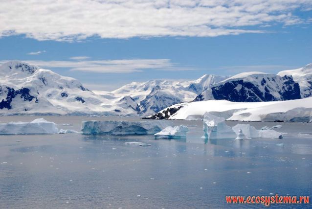 Антарктика отдых фото